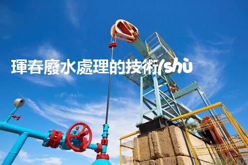 琿春廢水處理的技術(shù)突破與以后展望？